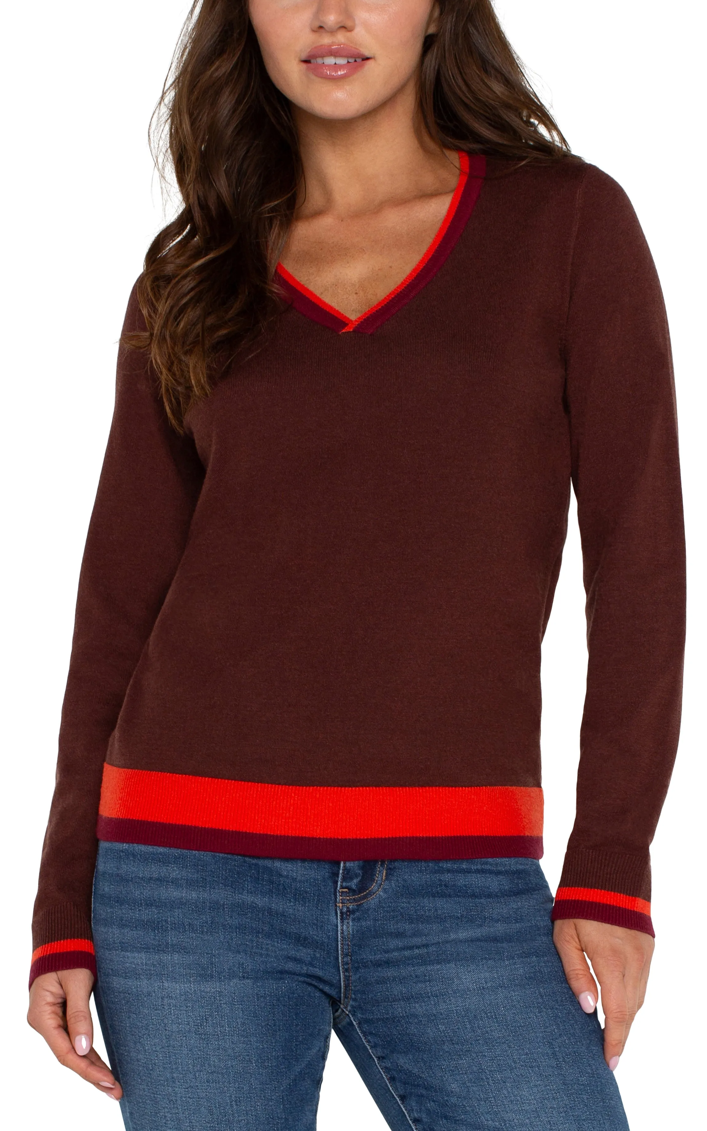 Liverpool Long Sleeve V Neck Colorblock Sweater (Retro Brown Multi)