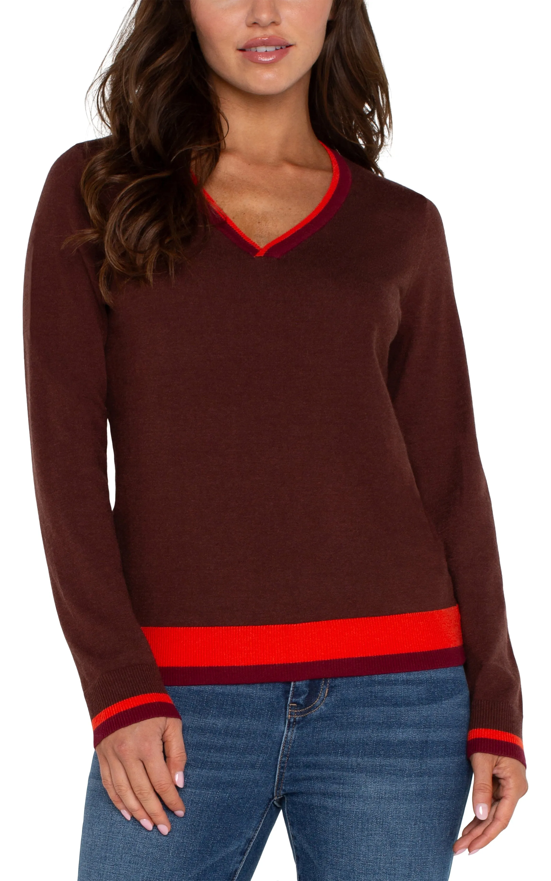 Liverpool Long Sleeve V Neck Colorblock Sweater (Retro Brown Multi)