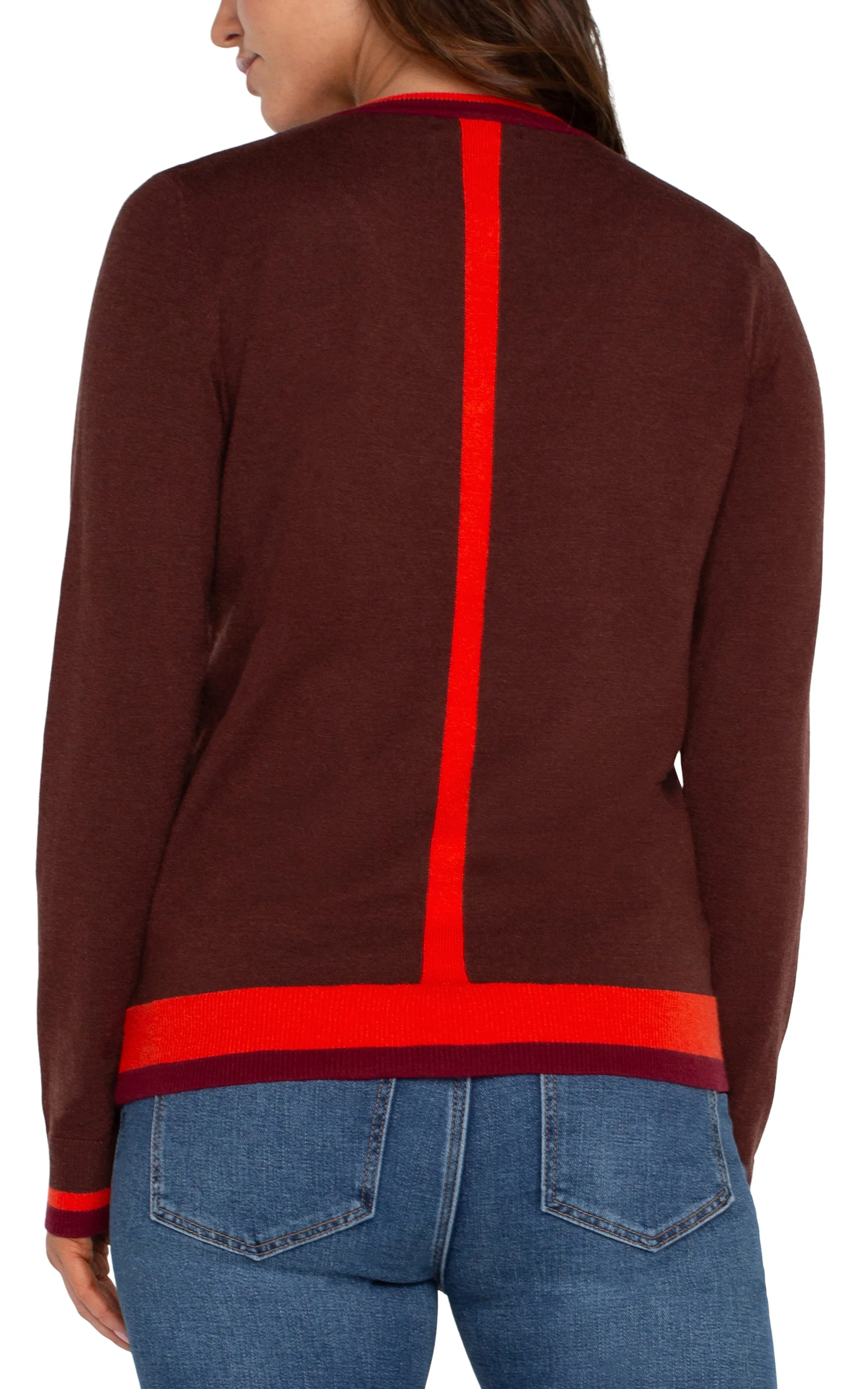 Liverpool Long Sleeve V Neck Colorblock Sweater (Retro Brown Multi)